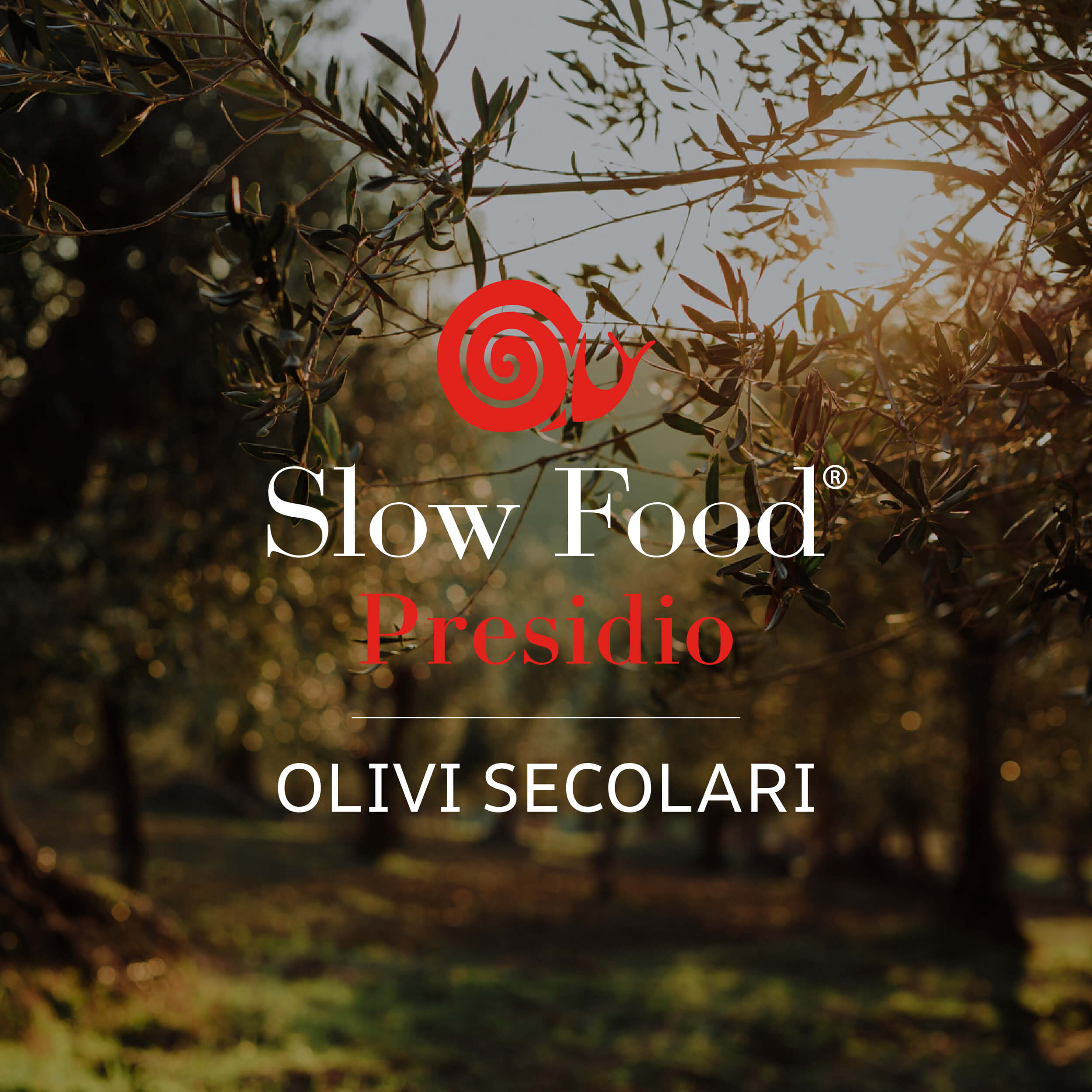 vallillo-presidio-slowfood