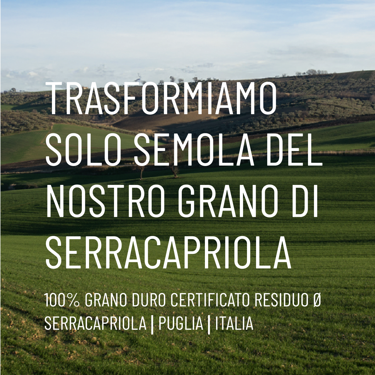 Screenshot 2025-01-16 alle 14.42.01